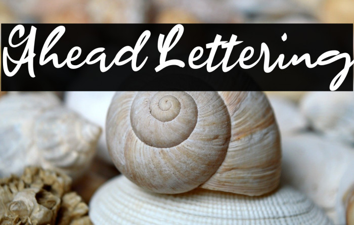 Ahead Lettering Example 3