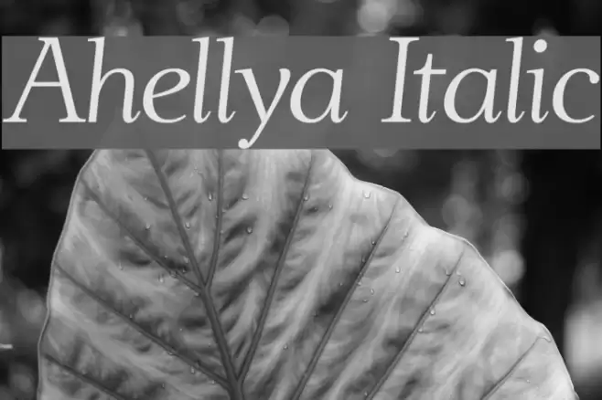Ahellya Italic Caratteri examples