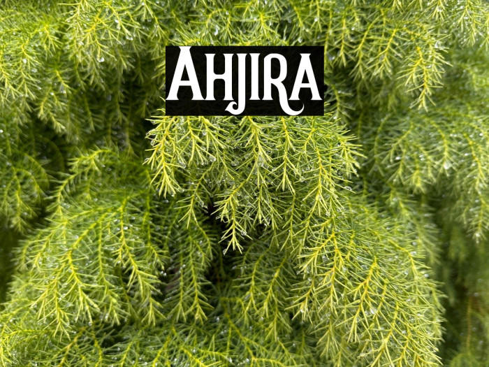 Ahjira Example 2