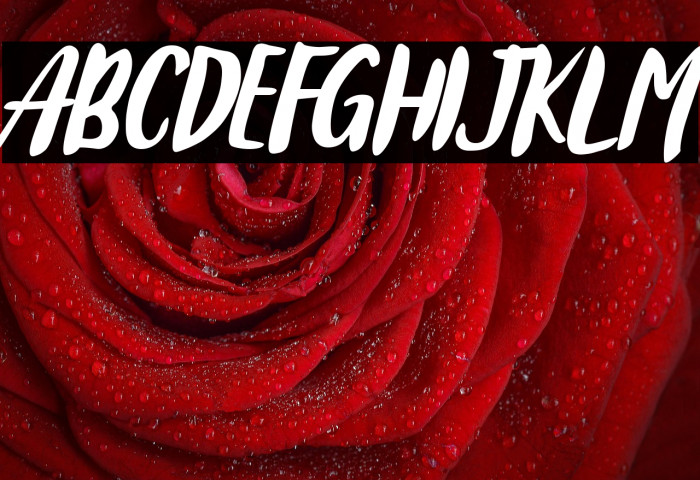 Ahmad Sutomi Example 1