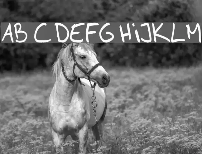 AhnbergHand Font examples