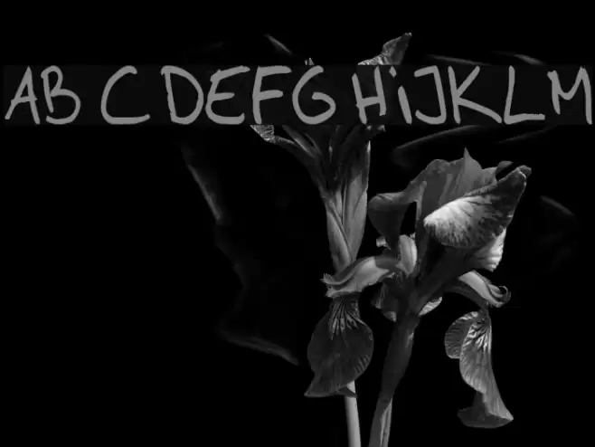 AhnbergHand Font examples