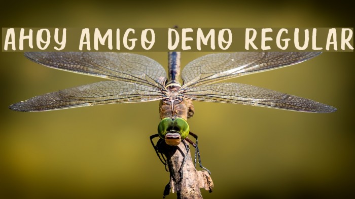 Ahoy Amigo DEMO Regular Fonte examples
