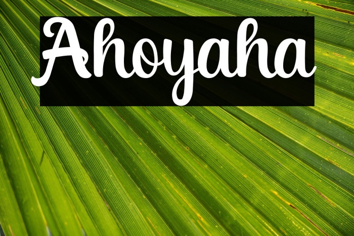 Ahoyaha Example 1