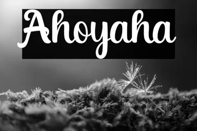 Ahoyaha Font examples