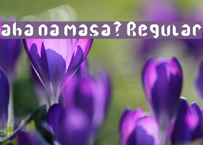 aha na masa? Regular Font examples