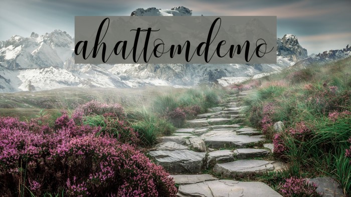 ahattomdemo Font examples