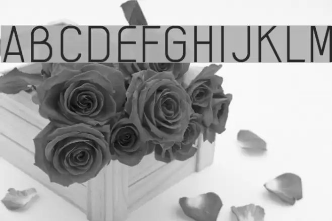 AI kelso L Font examples