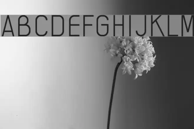 AI kelso L Font examples