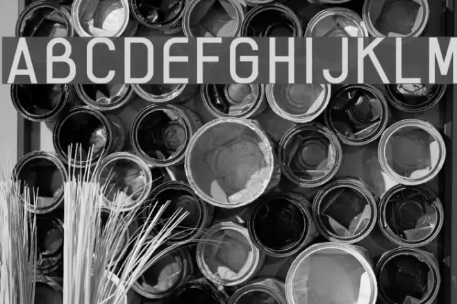 AI kelso R Font examples