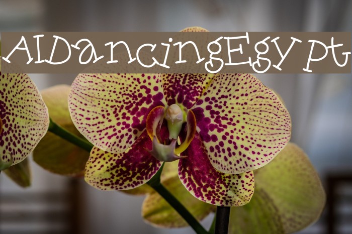 AIDancingEgypt Font examples