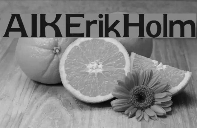 AIK-ErikHolm Font examples