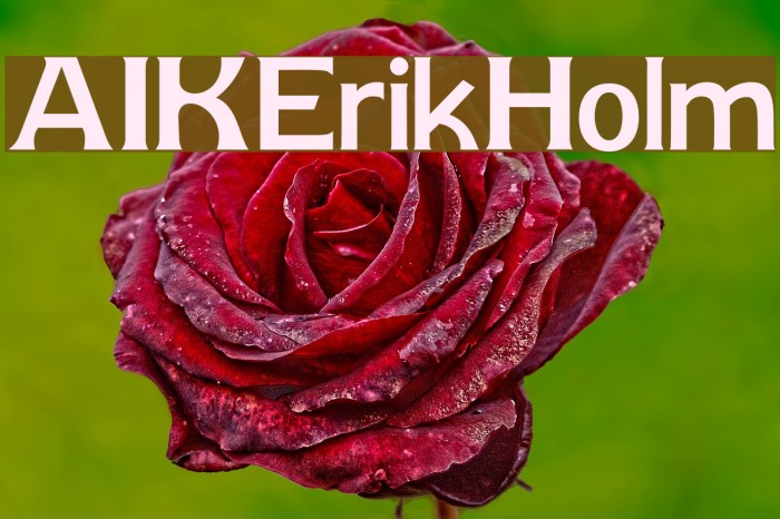 AIK-ErikHolm Font examples