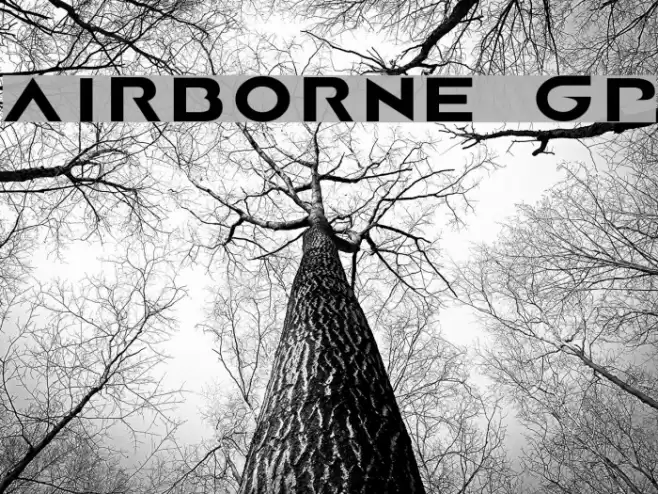 AIRBORNE GP Font examples