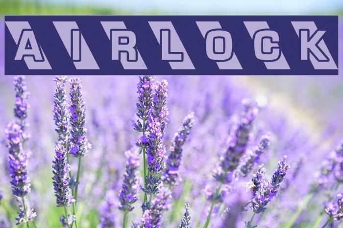 AIRLOCK Example 3