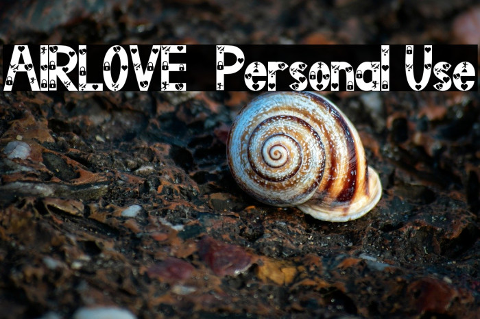 AIRLOVE - Personal Use Example 3