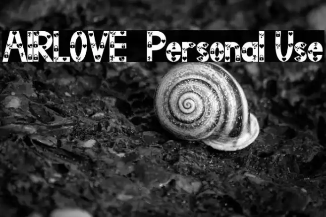 AIRLOVE - Personal Use Example 3