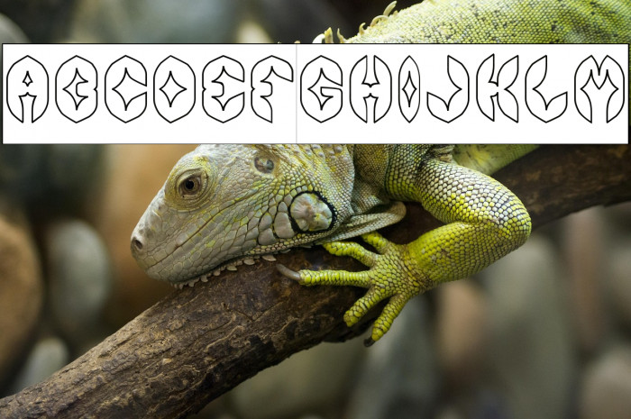 AIRPLANE-Hollow-Inverse Example 3