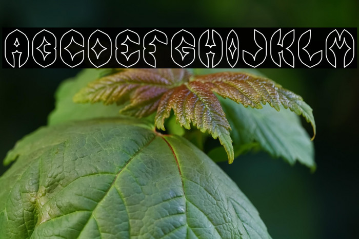 AIRPLANE-Hollow Example 1