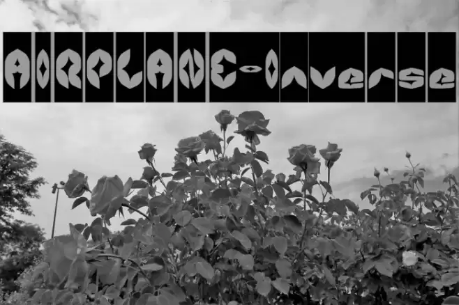 AIRPLANE-Inverse Font examples