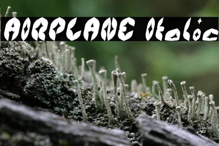 AIRPLANE Italic Example 3