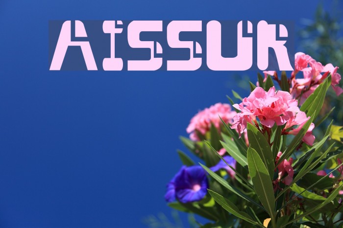 AISSUR Font examples