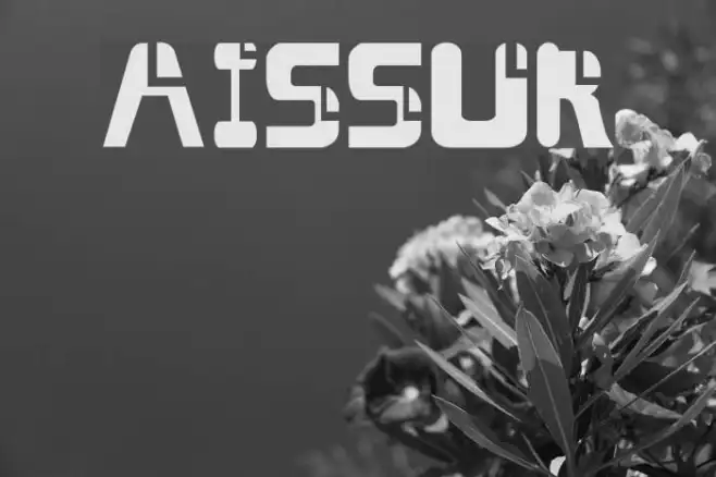 AISSUR Example 2