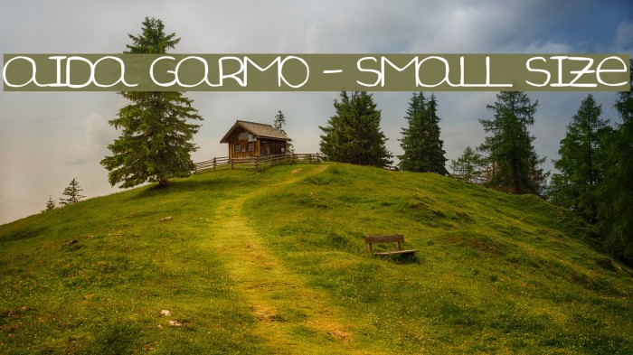 Aida Garmo - Small Size Font examples