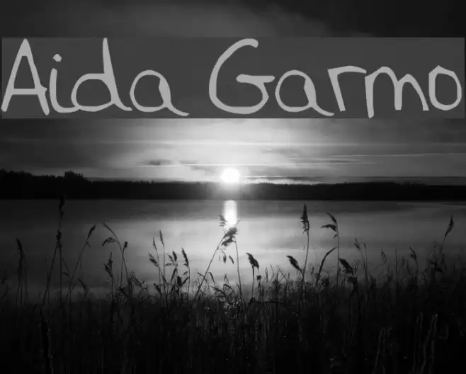 Aida Garmo Font examples