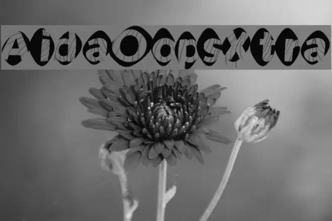 AidaOopsXtra Font examples