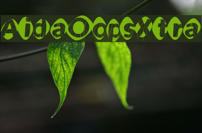 AidaOopsXtra Example 2