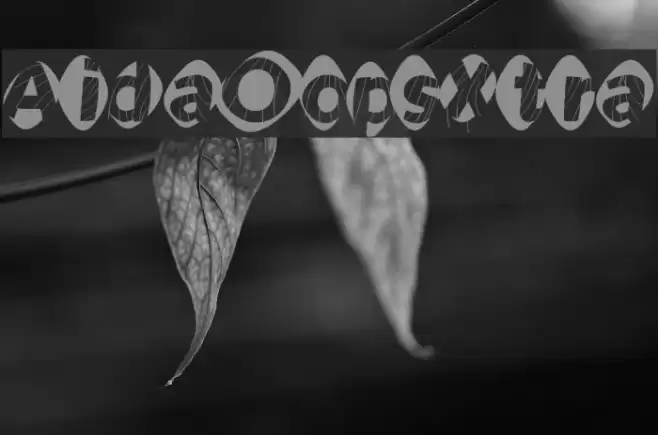 AidaOopsXtra Font examples