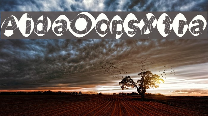 AidaOopsXtra Example 3