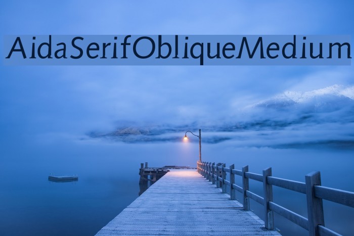 AidaSerifObliqueMedium Font examples