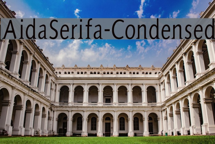 AidaSerifa-Condensed Font examples