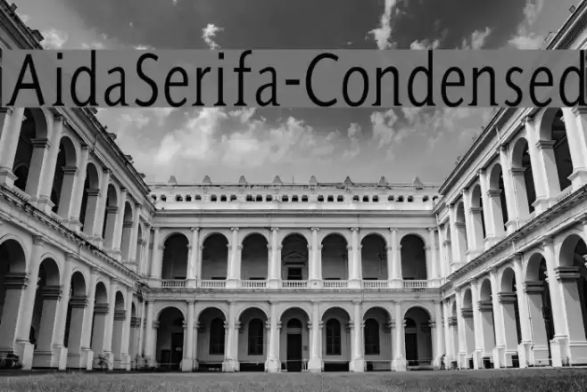 AidaSerifa-Condensed Schriftart examples