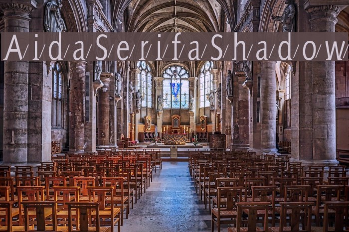 AidaSerifaShadow Шрифта examples