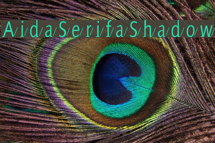AidaSerifaShadow Шрифта examples