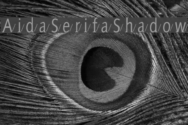 AidaSerifaShadow Font examples