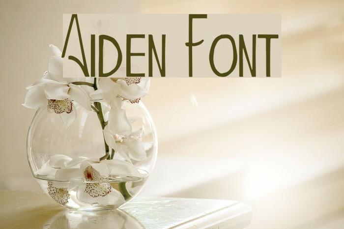 Aiden Font examples