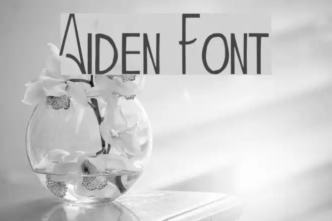 Aiden フォント examples