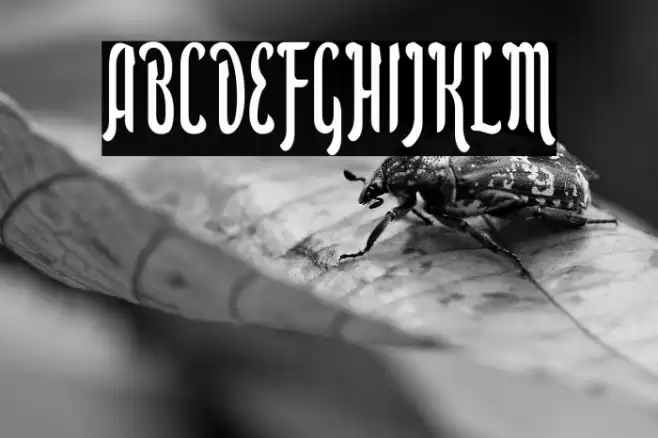 Aidilfitri Font examples