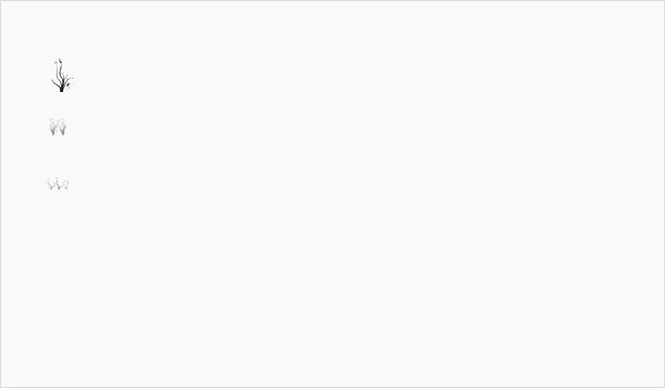 Aierbazzi Business Card