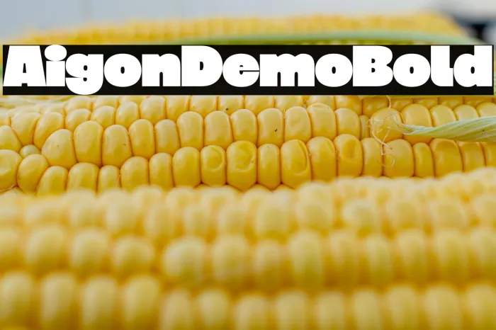 Aigon Demo Bold Example 3