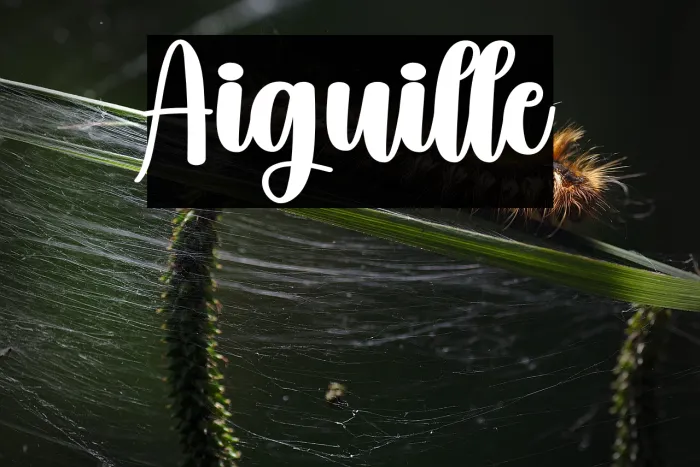 Aiguille Example 1