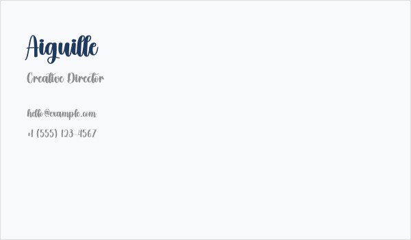 Aiguille Business Card