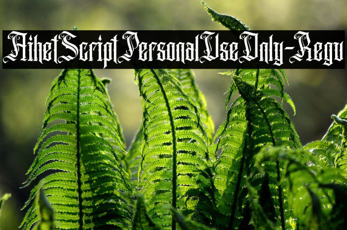 AihetScriptPersonalUseOnly-Regu Example 2