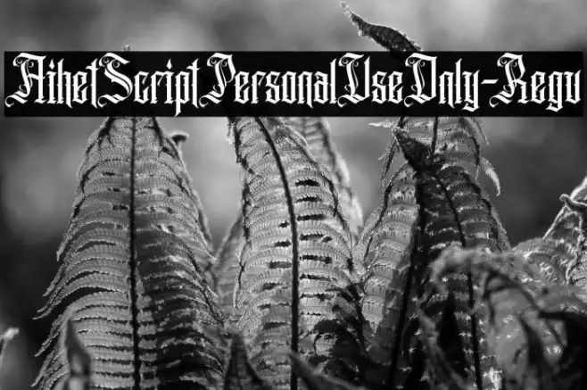 AihetScriptPersonalUseOnly-Regu Example 2