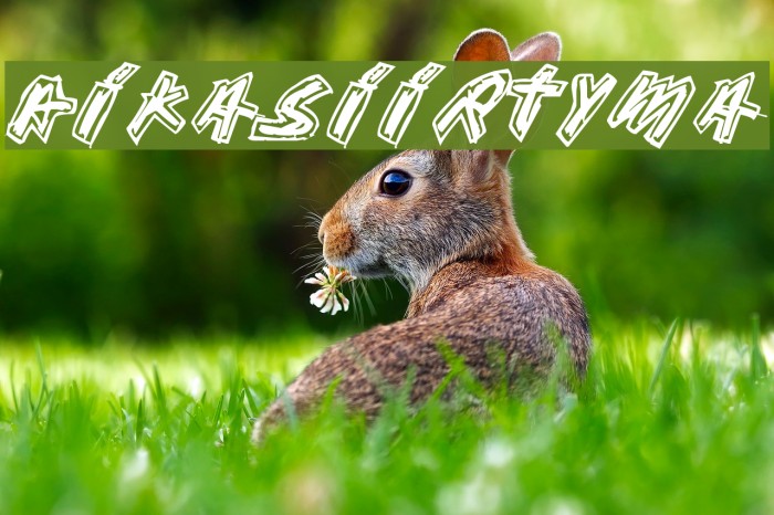 Aikasiirtyma لخطوط تنزيل examples