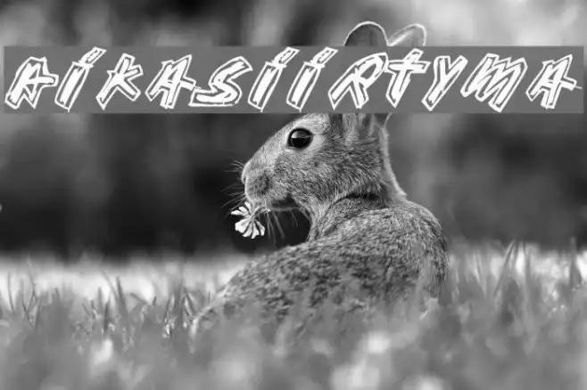 Aikasiirtyma Example 2